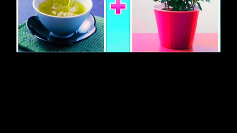 Guess the word with two pictures