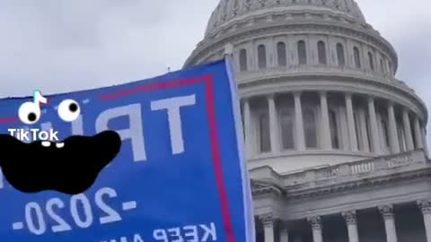 Trump Supporters Scenes Outside the Capitol