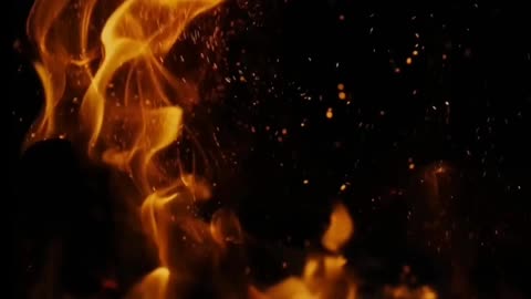 C est ce que vous voulez pour la France... Réveillez vous!!!!