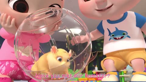 Bingo was his name ´O´ & more animal songs | CoComelon Nursery Rhymes for Kids