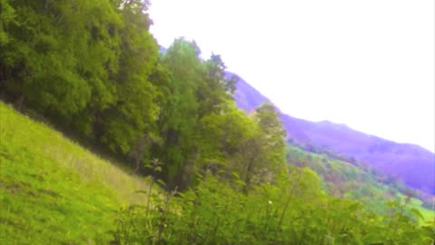 Alba Por Sol - ross charles myles pike