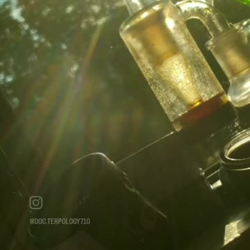 Sunlit Comcemtrate Photoshoot - Sunshine N Dabz