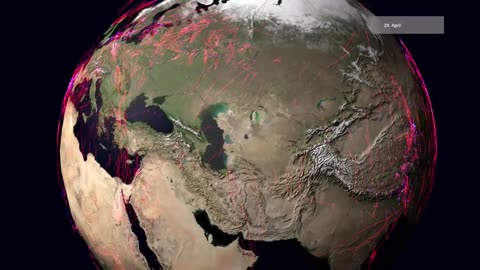 Global animal movements based on Movebank data