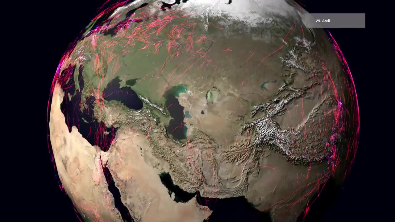 Global animal movements based on Movebank data