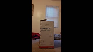 I fit right inside my Rutherford Box!