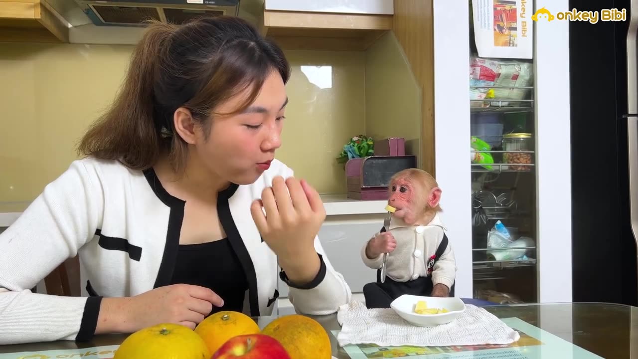 Bibi no more fear of crying when mom return home 🏠 #Bibimonkey #Animals #Cutemonkey