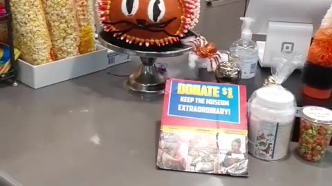 Halloween cat is missing an ear. Still cute!