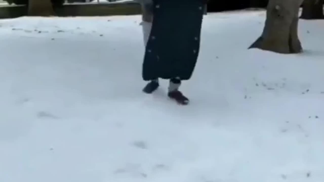 Random video lucu