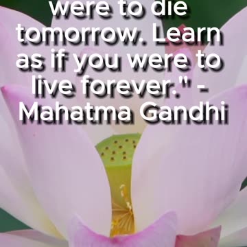 💎Educational Quote💎