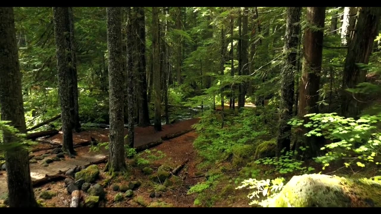 Peaceful River through the Woods, Waterfall and Music (60sec)