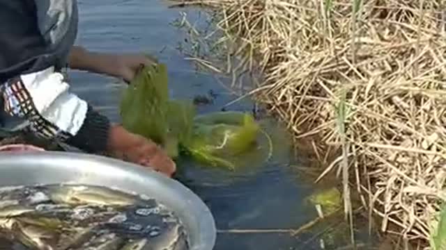 Enjoying Beautiful Life As Fisherman