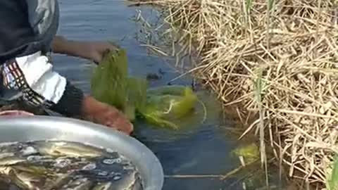 Enjoying Beautiful Life As Fisherman