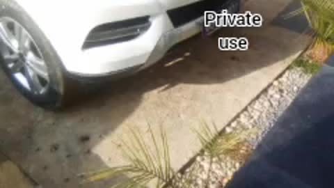 Add this to your ritual you just did