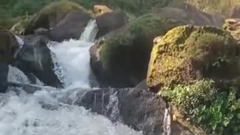 India's most beautiful waterfall