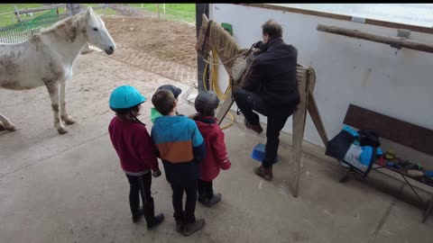 Wanderreitschule - Ferienkurs