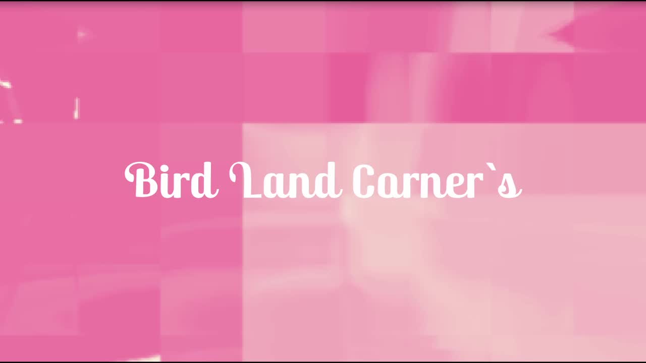 TWP Beats - Bird Land Corner's (Preview)