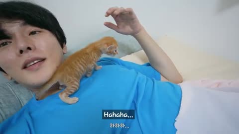 This kitten talking endlessly even when his voice is gone