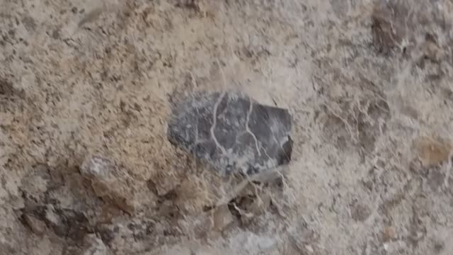 Crystal dig