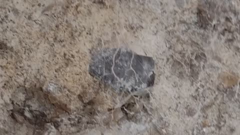 Crystal dig