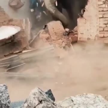 elephant destroying an old house 😱😱😱