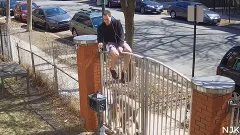 Funny and scary moment of dogs 😅 and how to protect yourself from aggressive dog