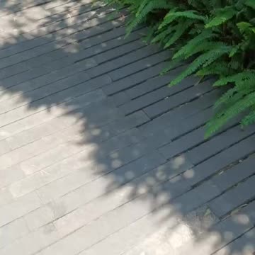 The panda is so cute!!! I wish I had a baby like that.