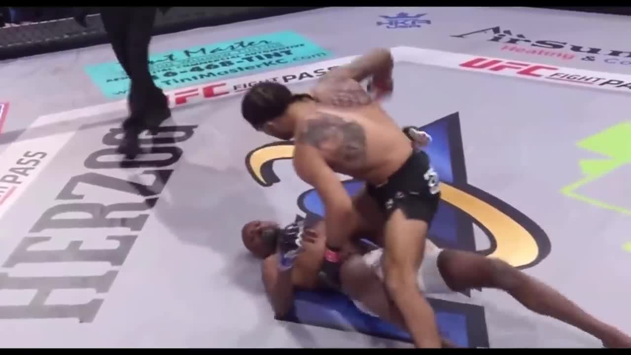 Best MMA Knockouts of 2022