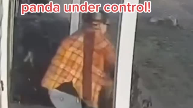 This is what happens when they mess with our children...