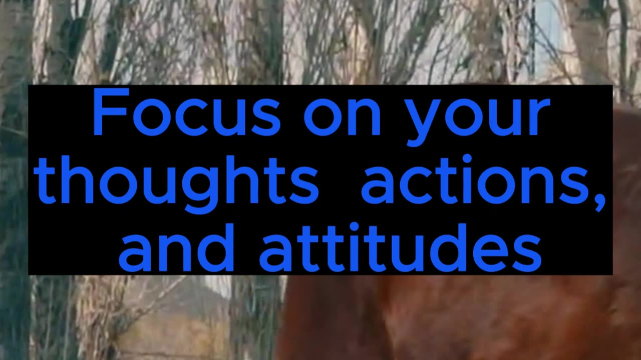 Only Thing You Control Is Yourself