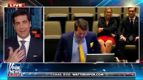 Watters cracks up watching ‘crazy’ guy trolling city council: 'nailed it'