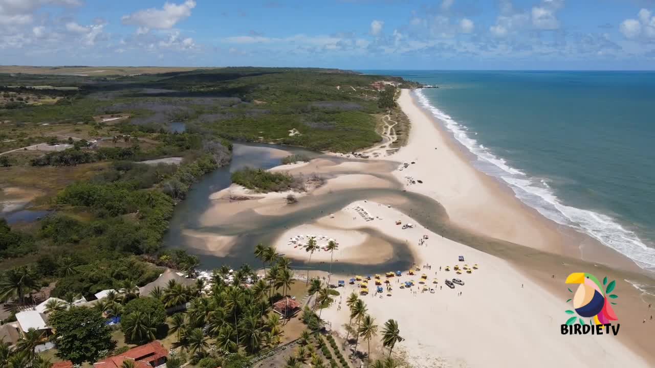 Brazilian Beach | Bela Beach - Pitimbu - Paraiba - Brazil