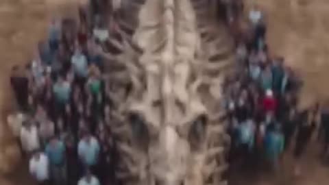 Real Dragon skeleton found in china..