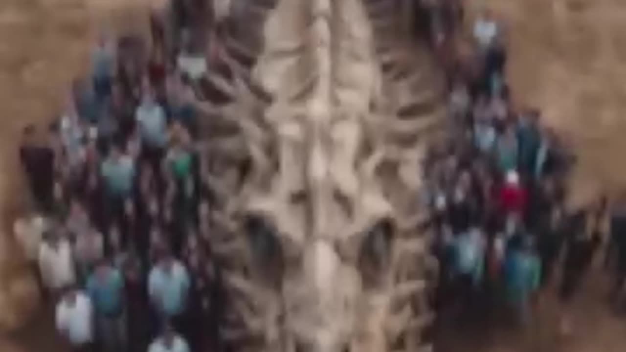 Real Dragon skeleton found in china..