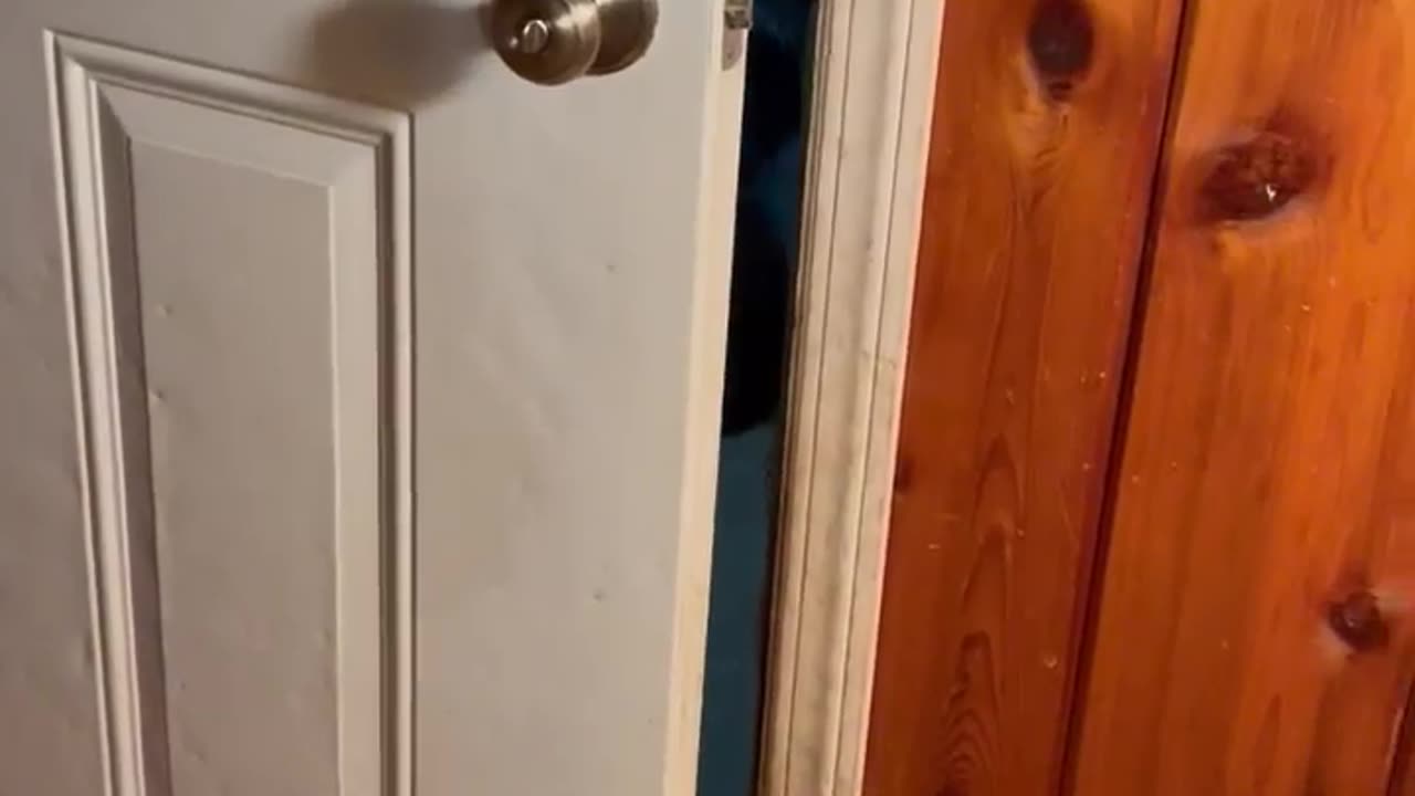 Polite Bear Closes Door On His Way Out