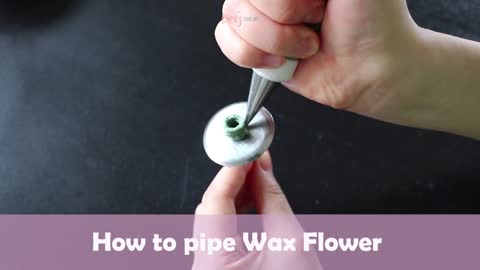 How to pipe buttercream Wax flower │ Korean Buttercream Flower