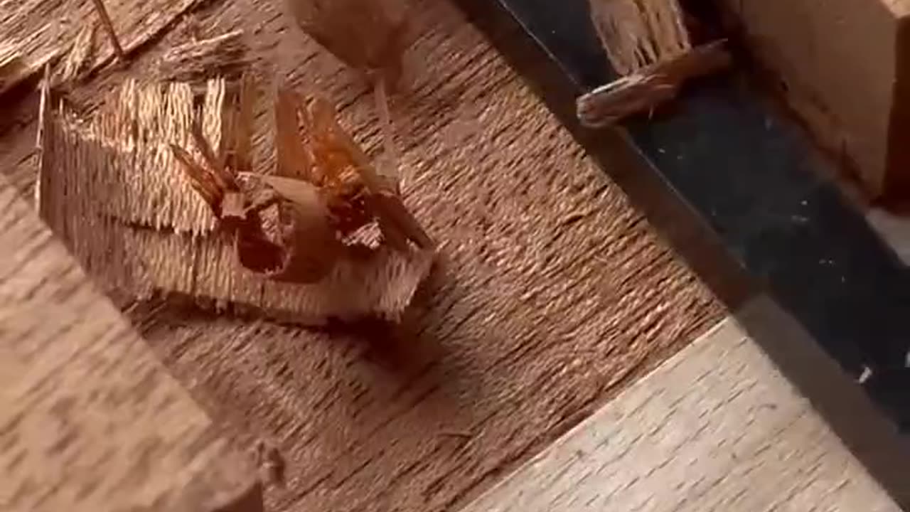 Various Wood work tricks