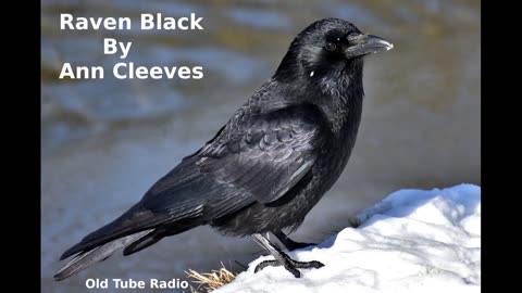 Raven Black by Ann Cleeves. BBC RADIO DRAMA