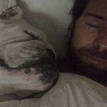 Snoring Bulldog keeps owner awake