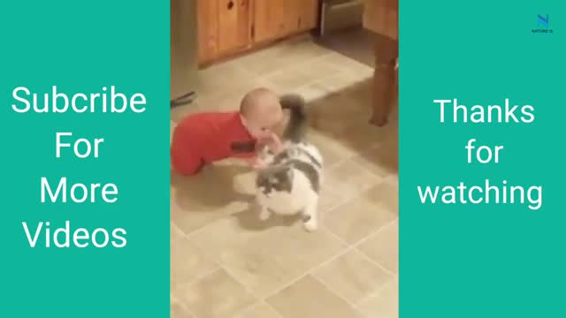 Top Funny Cats Videos | Try Not To Laugh 😎💕