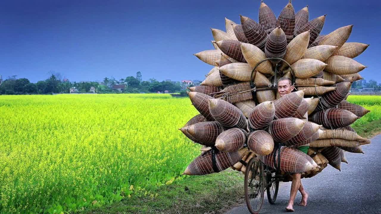 Phong cảnh Việt Nam
