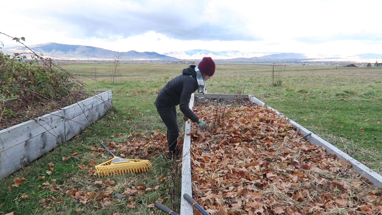 Prepping Garden Beds For The Winter