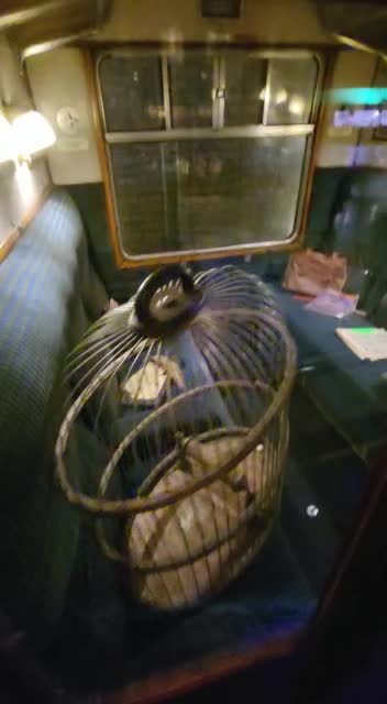 Walking down the hogwarts express