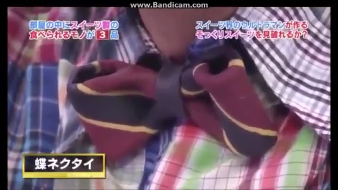 Funny Japanese Gameshow