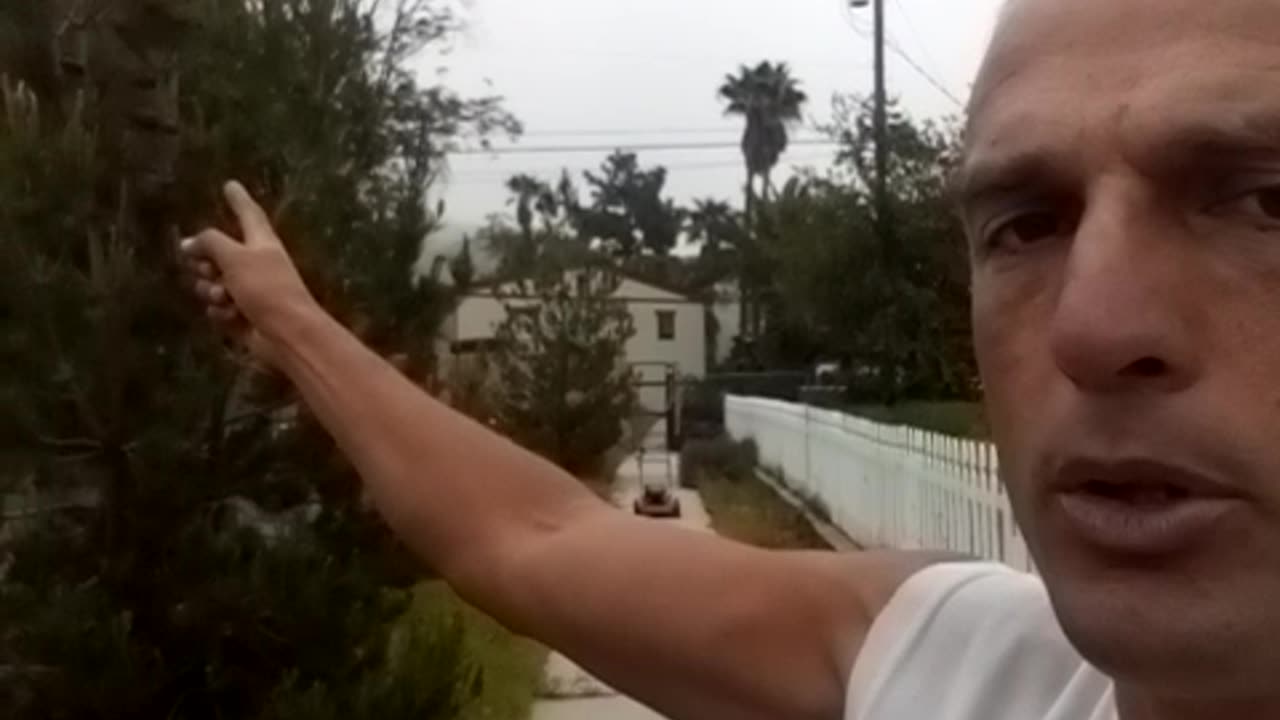 THE #1 GUY IN THE UNIVERSE. And How to Get Up Here. Apr 12, 2023, 11:32am. End of stupidity.