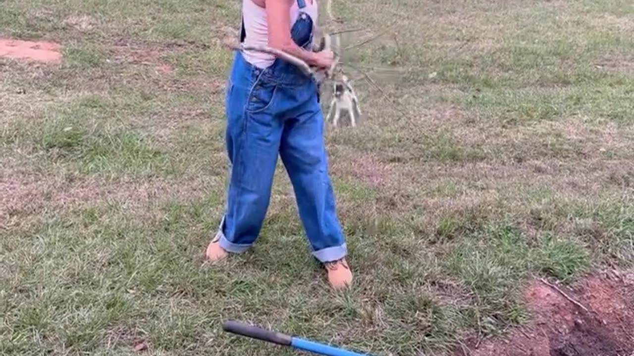 Stella loves her sticks.