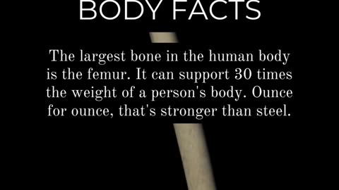 Unveiling the Human Body: Mind-Blowing Facts