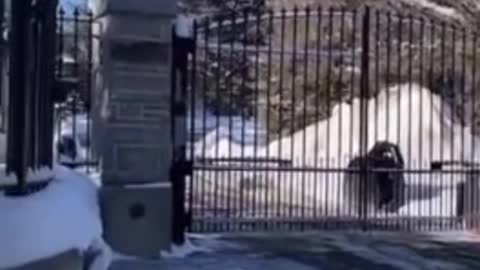 Nobody is home at Trudeau's