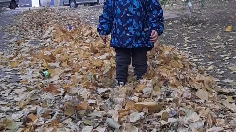Осень листья листопад веселье!