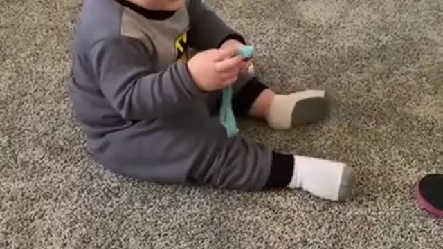 small child playing with a cat