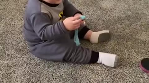 small child playing with a cat